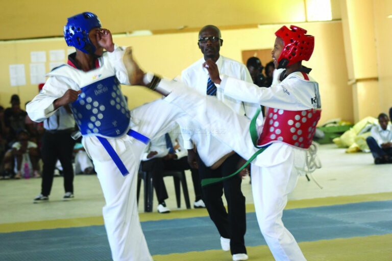 Taekwondo association elections halted