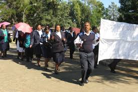 lesotho nursing association members