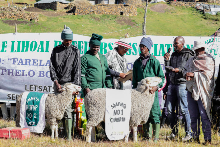 Honour for Merino sheep producers