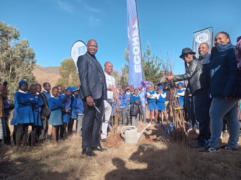 Gem and Econet join forces to tackle climate change