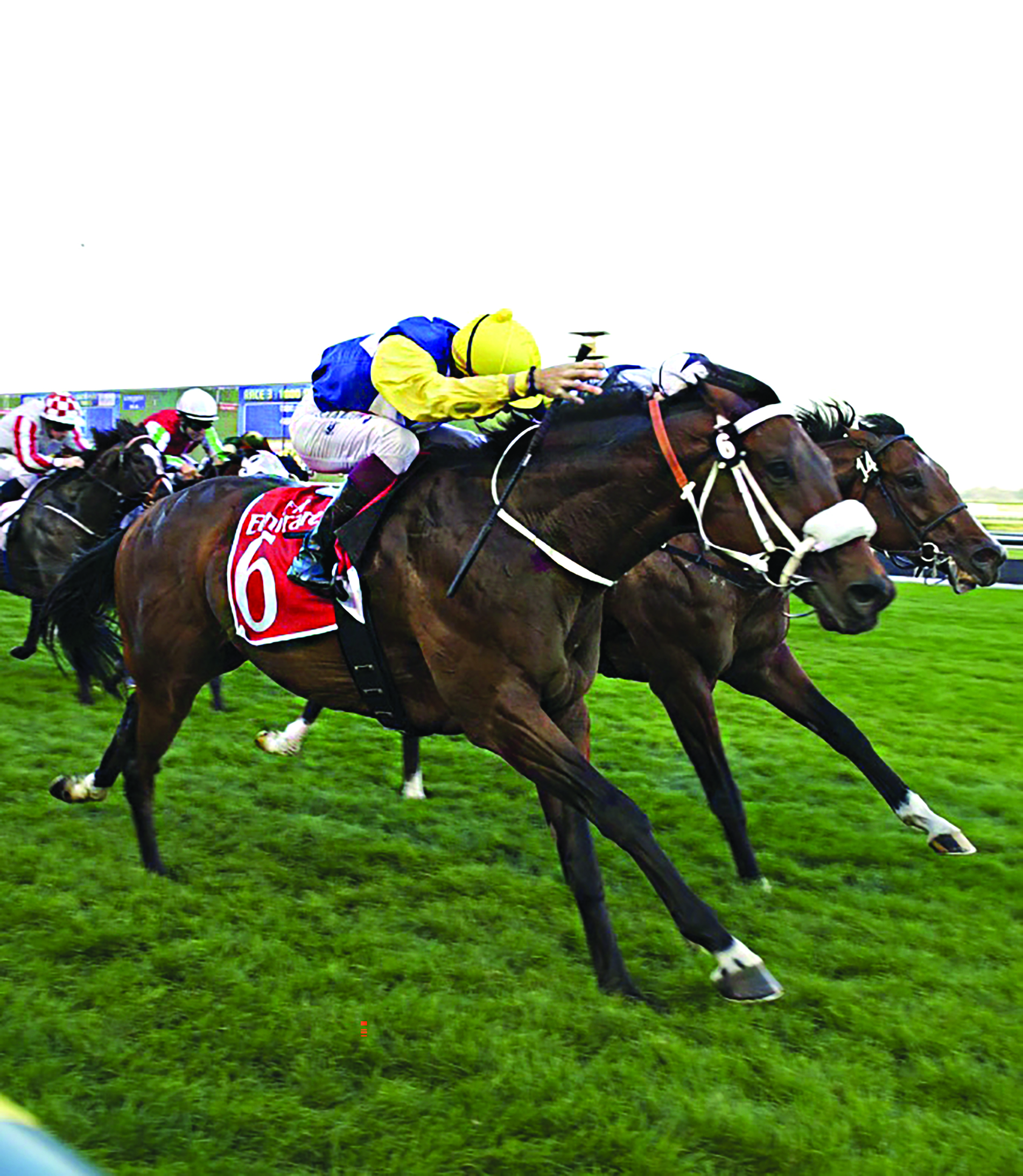 Horse racing action (2)