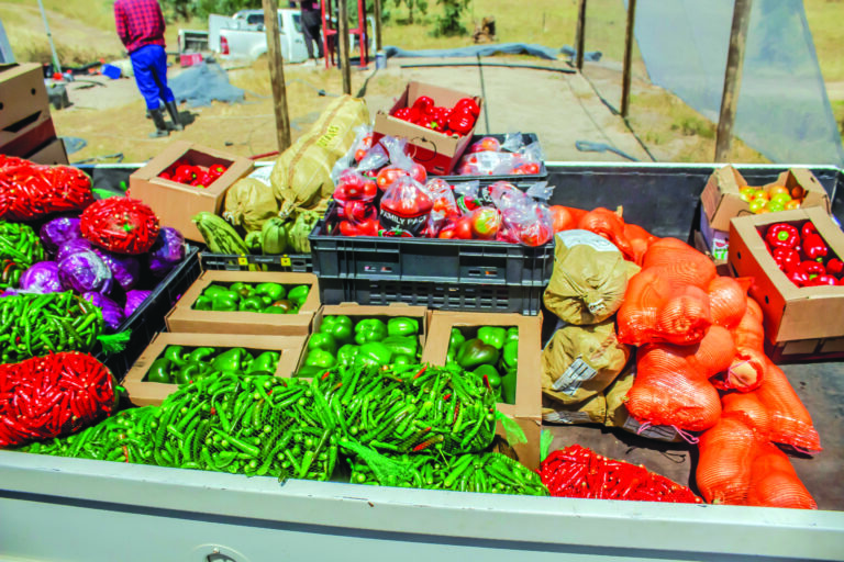 Lesotho’s Ambitious Growth Plans