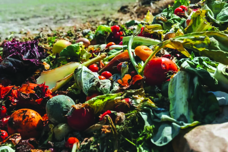 1 billion meals wasted while 783 million starve