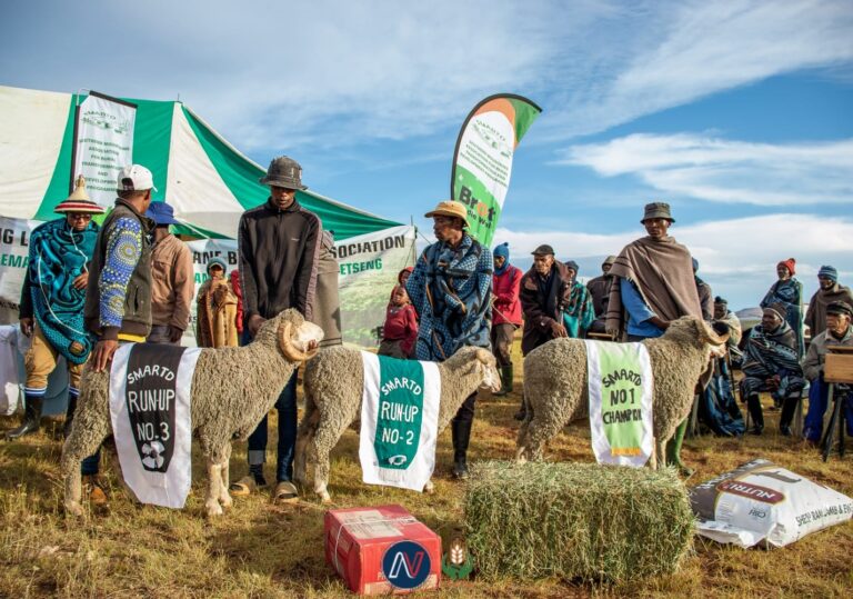 Makhakane Proves Her Worth: A Triumph for Women in Wool and Mohair Farming