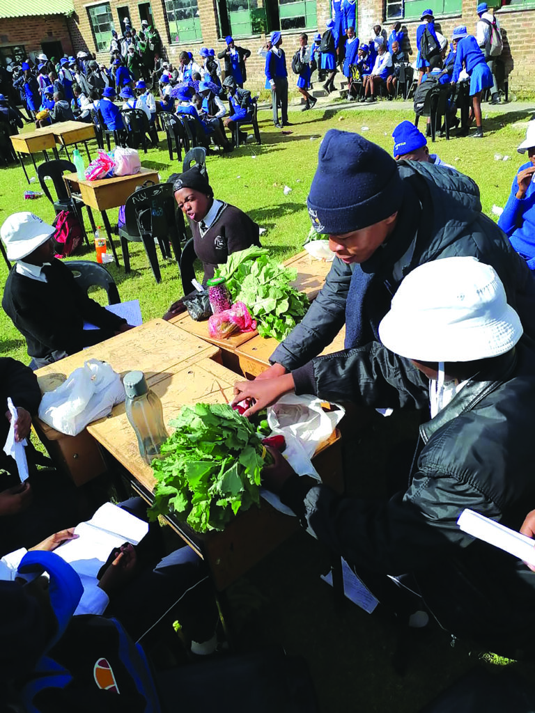 MAAT Agricultural Fair Inspires Students and Promotes Gender Equality in Farming