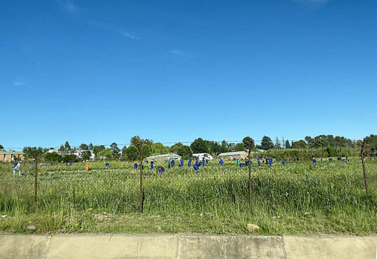 Scandalous neglect threatens Agric College’s future