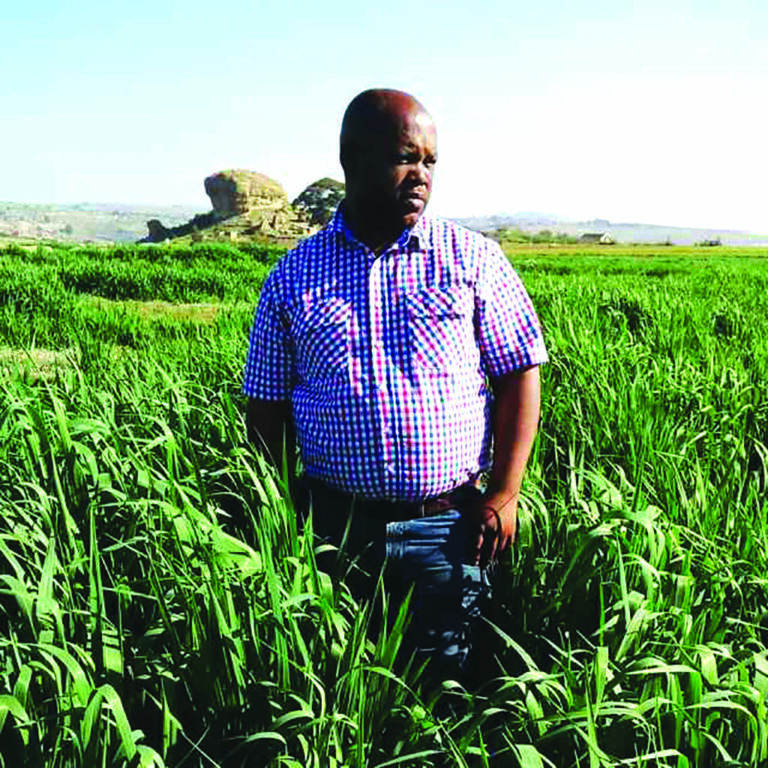 From Mantšonyane to Mastery: Mpeoa Leads the Wool and Mohair Revolution