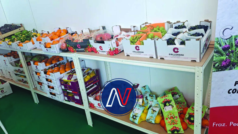 Macfrut 2024: A Confluence of Innovation, Sustainability, and Gastronomy