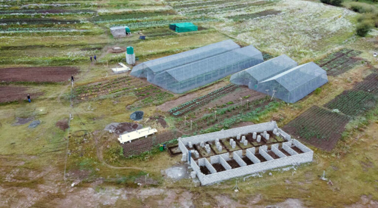 Component 1. Promoting Climate Smart Agricultural Practices and Advisory Services.