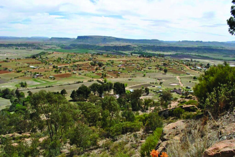 Tsikoane Marathon Returns