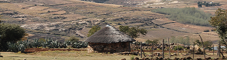 FNCO Launches National Nutrition Campaign and Promotes Household Farming