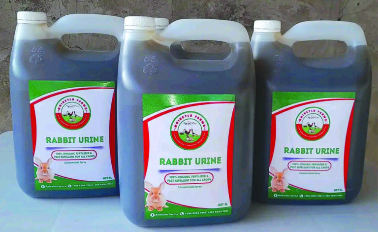 Outstanding Benefits of Rabbit Manure: A Trailblazer’s Insight