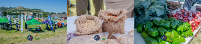 Project Management, Coordination and Monitoring and Evaluation.