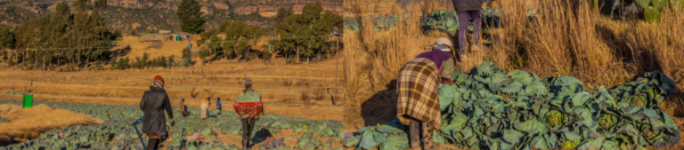 IFAD’s Visit Highlights Progress and Hope in Lesotho Agriculture