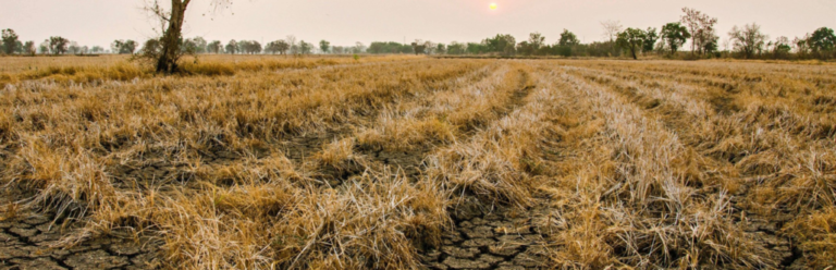 Lesotho faces drought risk