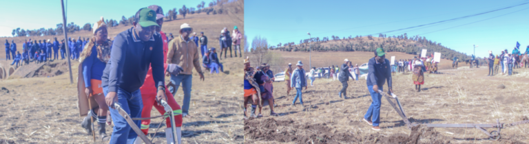 Thaba-Tseka’s Commitment To Food Sufficiency