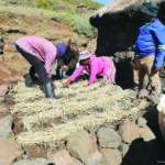 Lesotho Food Insecurity-Ls