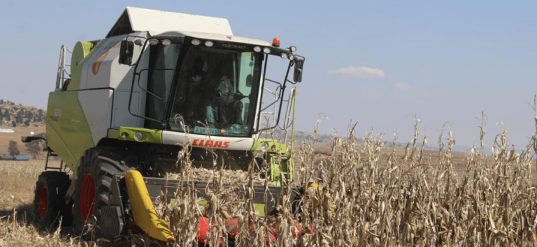 M2.6 Billion Investment Needed to Boost Local Food Security