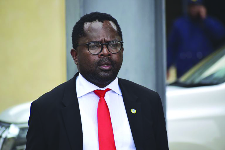 MP urges Women’s Caucus to address breast cancer awareness