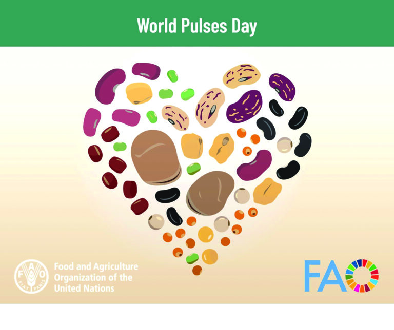 Why pulses matter and why we celebrate World Pulses Day on February 10