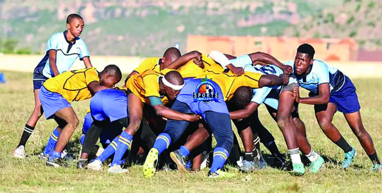 Beavers run riot in rugby action