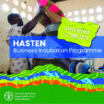 HASTEN CfA SM Cards - 4