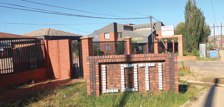 Loti Brick faces M7.4 million tax crisis