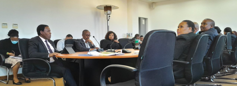 Makhalanyane proposes M10 million incentives to improve health services