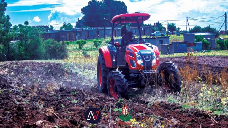 Thousands face hunger as crop production plunges