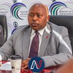 Trade, Industry and Small Business Development Minister Mokhethi Shelile.