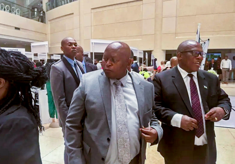 CAFI intensifies entrepreneurial ecosystem revival