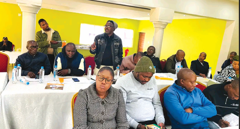 High adolescent pregnancy rates challenge Sehonghong health centre