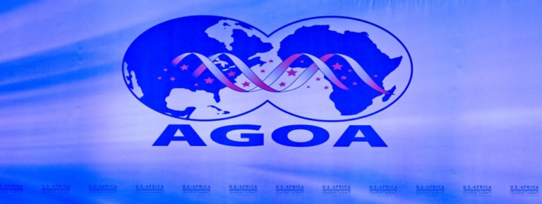 Africa begs US as continent pins hopes on AGOA finalisation