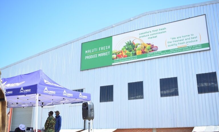 Maluti Fresh Produce Market faces closure