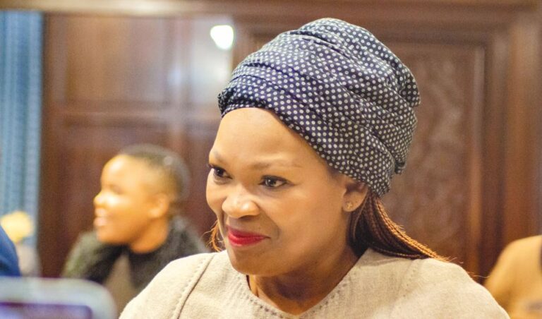 Ombudsman roasts Home Affairs over passport chaos