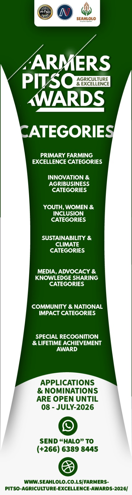Slide 7