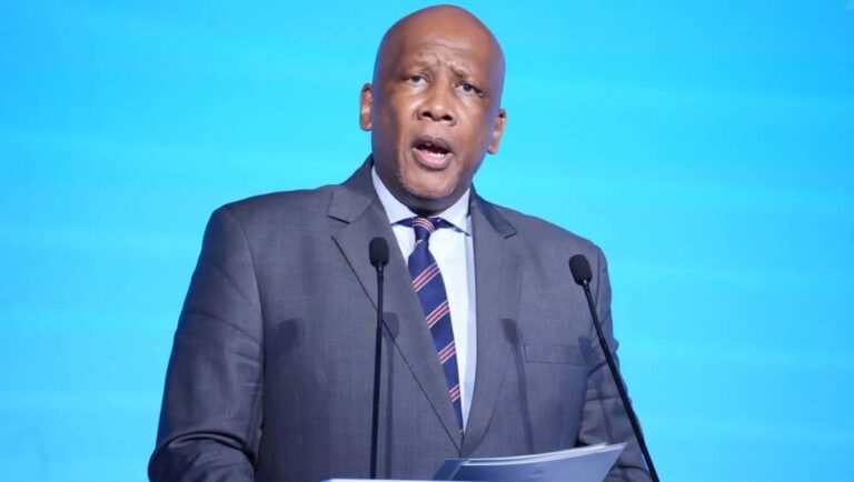 King wants united action to tackle Africa’s food systems