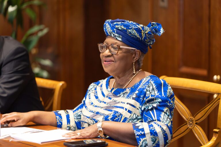 Africa Must Stop Exporting Raw Materials and Remove Investment Barriers, WTO Chief